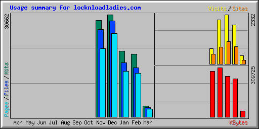Usage summary for locknloadladies.com
